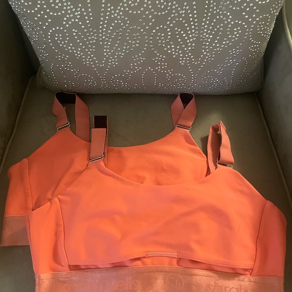 Set of 2 Sarah wells journey nursing/pumping bras